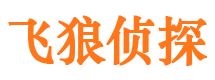 子洲市婚外情调查